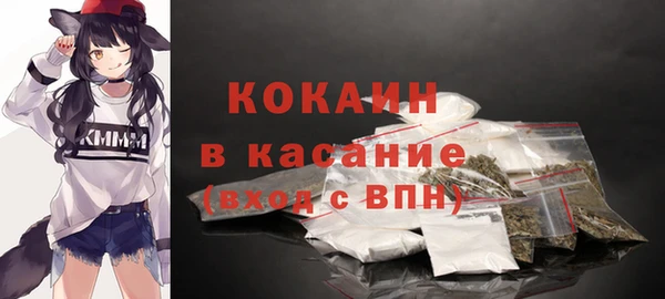 тгк Абаза
