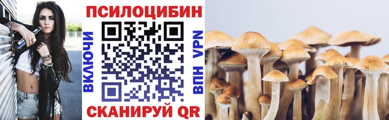 blacksprut ссылки  Ессентукская  Галлюциногенные грибы Psilocybe  где купить наркоту 